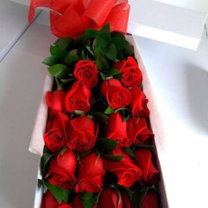 caja de 25 rosas rojas