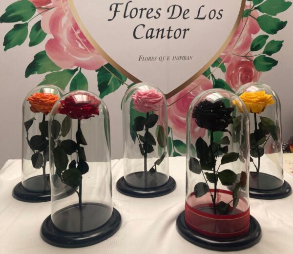 Rosas Eternas